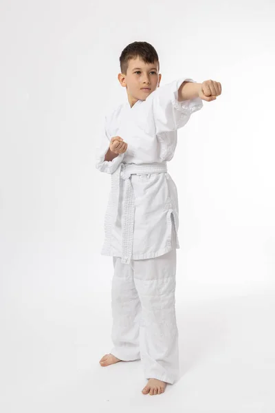 Boy Fighting Position White Kimono Isolated White Stock Photo by ©dechevm  575779096