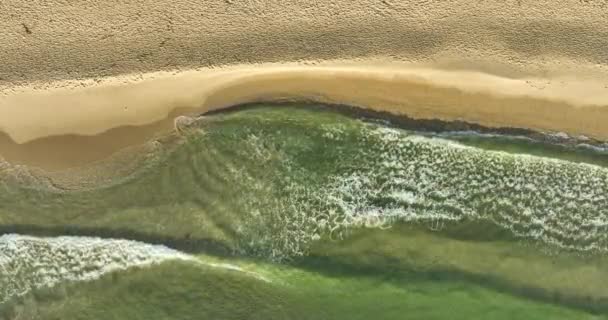 Statyczny Widok Góry Plażę Tropikalną Piankowe Fale Morskie Myjące Piasek — Wideo stockowe