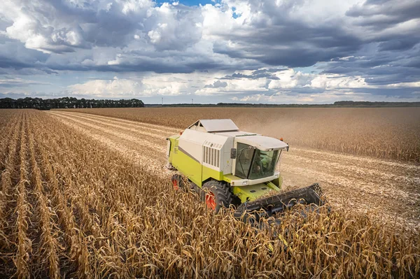 옥수수 밭에서 수확하는 사람들을 결합시켜 기계화 옥수수 — 스톡 사진