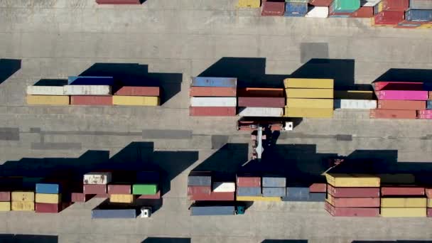 集装箱装卸员在港口码头卸下卡车 供进出口货物的集装箱的运输 — 图库视频影像
