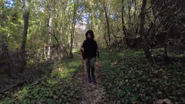 Niño Está Caminando Por Bosque Senderismo Montaña Con Bastones Mochila — Vídeo de stock