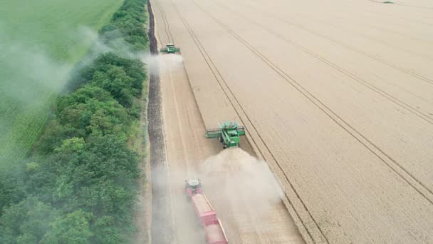 Aerial View Combine Harvesters Harvesting Wheat Grains Tractor Trailer — Stock Video