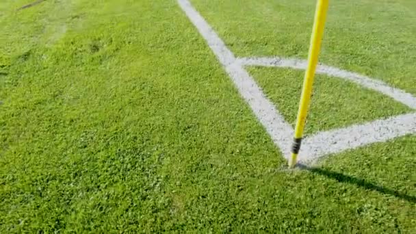 Corner Pitch Soccer Football Field Grass Close Lines Grass Soccer — Video Stock