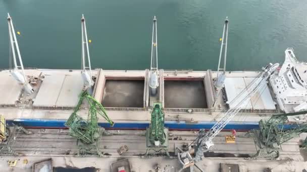 Loading Dry Cargo Ship Sunflowers Cranes Port Aerial View Loading — Stock Video