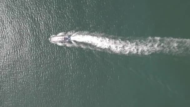Ariel View Coast Guard Powerboat Cruising High Speed Speedboat Border — Video Stock