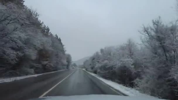 Pohled Přes Čelní Sklo Jízda Silnici Zimě Silný Sníh — Stock video