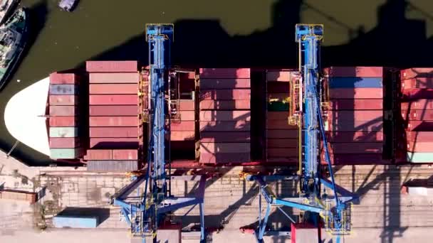 集装箱船在港口装卸 集装箱船物流进出口货物运输的航空观 — 图库视频影像
