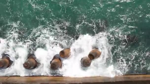 Top View Waves Crushing Coast Line Concrete Tetrapods — Stockvideo