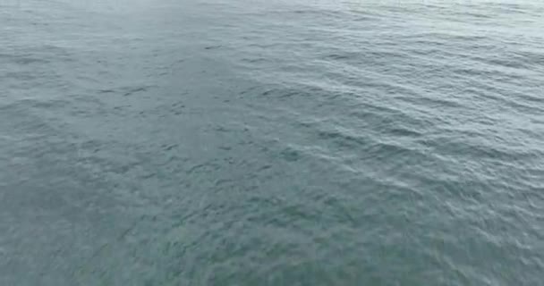 無人機は海上を飛行する 水の近くに — ストック動画