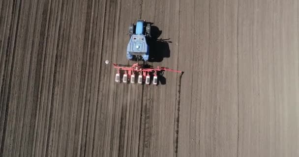 Aerial View Tractorsowing Agriculture Area — Stock Video