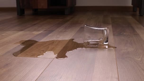 Glass Water Spilled New Laminate Floor Wood — Video Stock