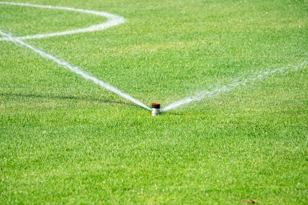 自动喷水灭火系统在新鲜绿色草地上橄榄球 体育场上工作 — 图库照片