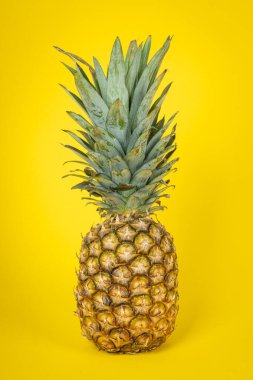 Sarı arka planda taze ananas meyvesi