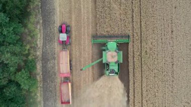 Havadan aşağı görüş, hasat ve buğday tanelerini traktör römorkuna yükleme.