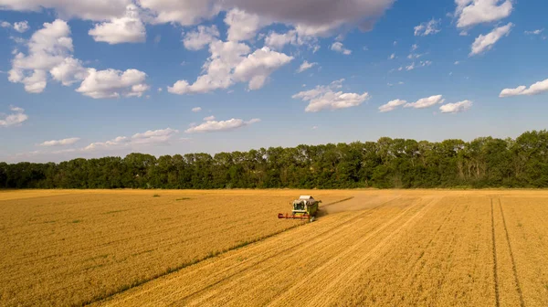Комбайн Повітряного Вигляду Гарфістер Збирання Пшеничному Полі Хмарне Небо — стокове фото