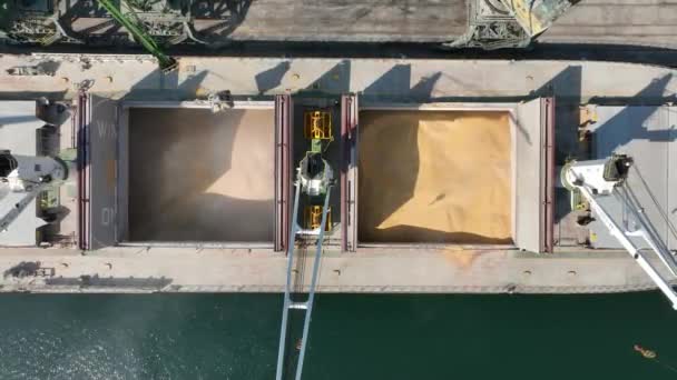 Chargement Cargo Sec Blé Par Des Grues Dans Port Chargement — Video