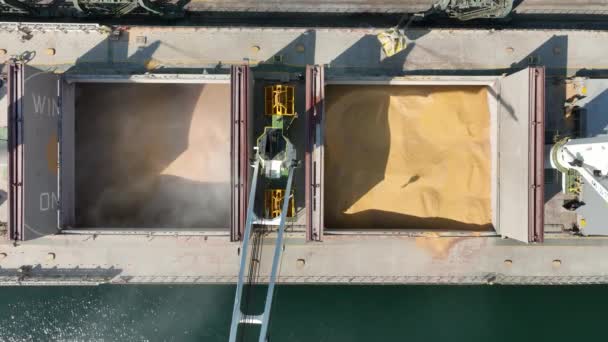 Loading Dry Cargo Ship Wheat Cranes Port Aerial View Loading — Vídeo de stock