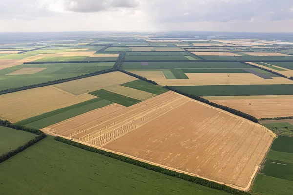 Vista Aérea Campos Con Diversos Tipos Agricultura —  Fotos de Stock