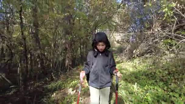 小さな男の子が森の中を歩いている 杖とバックパックを持って山の中でハイキング 小さな発見者 — ストック動画