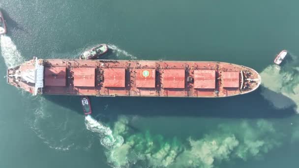 大きな貨物船を支援するタグボートの空中上下のビュー 大型貨物船がタグボートに護衛された港に入港 — ストック動画
