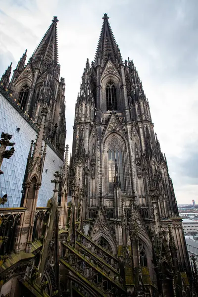 Deutschland Köln Der Berühmte Dom — Stockfoto