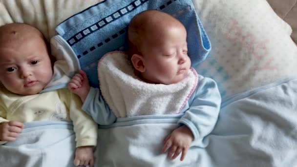 ベッドの上に2人の赤ちゃんの双子が横たわり 頭の上に1つのヘムギャノマ — ストック動画