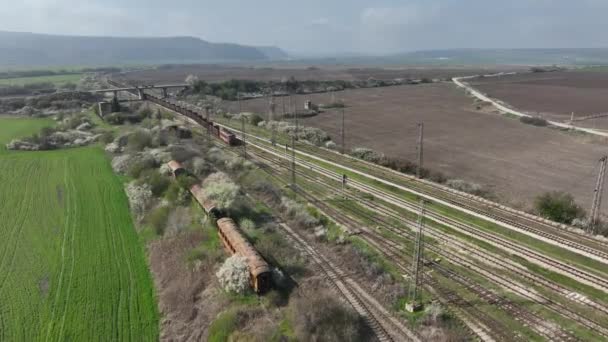 Tren Mercancías Con Vagones Abiertos Los Trenes Carga Llegan Depósito — Vídeo de stock