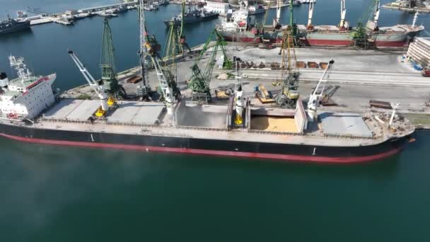 Lastning Torrlastfartyg Vete Med Kranar Hamn Flygsikt Lastning Lastrum Lastfartyg — Stockvideo