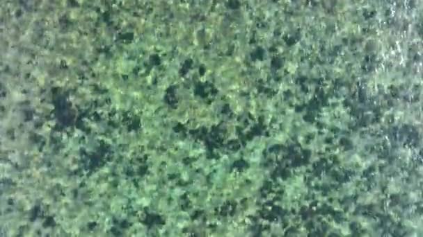 Voando Sobre Águas Cristalinas Mar Tropical Superfície Transparente Viagens Exóticas — Vídeo de Stock