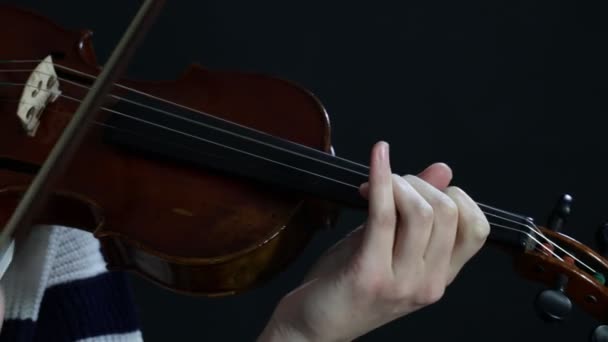 Девушки Играют Скрипке Крупный План Рук Играющих Скрипке Женщина Скрипач — стоковое видео