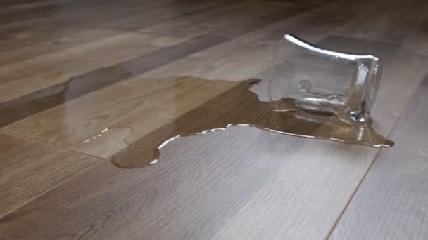 Glass Water Spilled New Laminate Floor Wood — Vídeo de Stock
