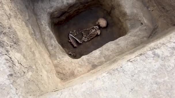 Archäologische Ausgrabungen Menschliche Überreste Skelettknochen Und Schädel Eines Jährigen Kindes — Stockvideo