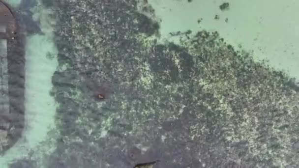 俯瞰沉船的航景 浅水区的沉船 靠近海滩 — 图库视频影像