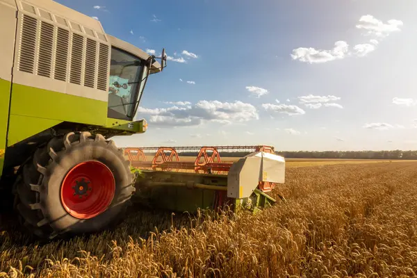 Modern Combine Harvester Harvesting Wheat Field Cloudy Sky — Stock Photo, Image