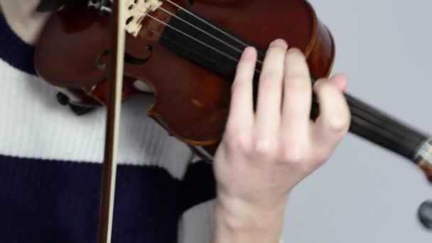 Lányok Hegedülnek Közelkép Amint Hegedül Hegedűművész Játszik — Stock videók