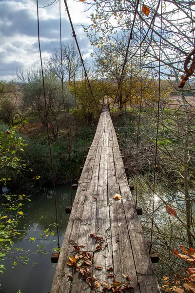 Ormandaki Eski Ahşap Tehlikeli Köprüsü Stok Fotoğraf