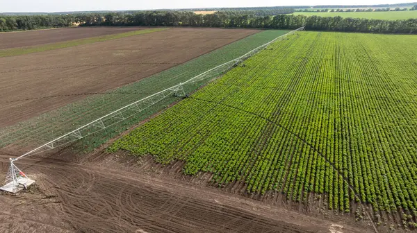 stock image Modern pivot irrigation system in  soybean field. A sprinkler system, agriculture technology. 