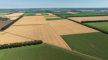 Çeşitli tarım türlerine sahip alanların havadan görünüşü.