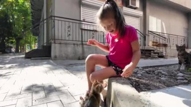 Sokakta sokak kedisiyle oynayan küçük bir kız. Kız şehir caddesinde bir kediyle oynuyor..