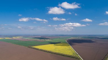 Çeşitli tarım türlerine sahip alanların havadan görünüşü. Güzel sarı yakut tarlaları. 