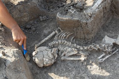 Arkeolojik kazılar. İnsan kalıntıları üzerinde çalışan bir arkeolog.