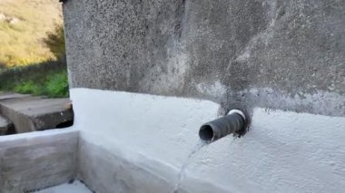 Ormandaki çeşme suyu kaynağı. Doğal kaynak suyu açık havada.