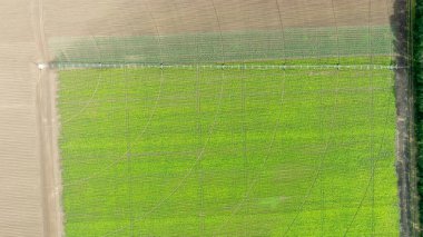 Modern pivot irrigation system in  soybean field. A sprinkler system, agriculture technology.  clipart