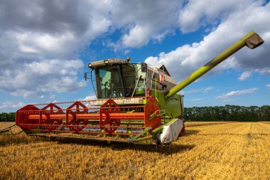 Buğday tarlasında hasat (hasatçı), bulutlu gökyüzü