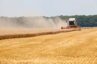 Bir tarlada biçerdöveri birleştir