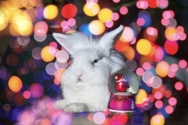 Rengarenk arka planda beyaz tavşan. Mutlu yıllar kavramı. - Evet. Yatay çerçeve.