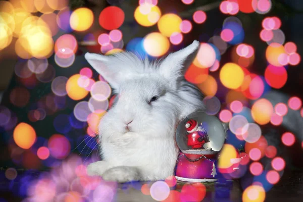 Rengarenk arka planda beyaz tavşan. Mutlu yıllar kavramı. - Evet. Yatay çerçeve.