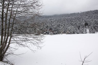 Journey to the province of Bolu, Yedigol in Turkey.winter snowy photography