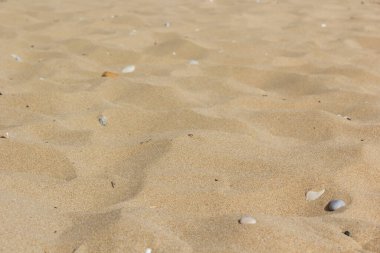 Sand on the sea coast in Turkey. Texture of beige sand on a sunny day can be used for background