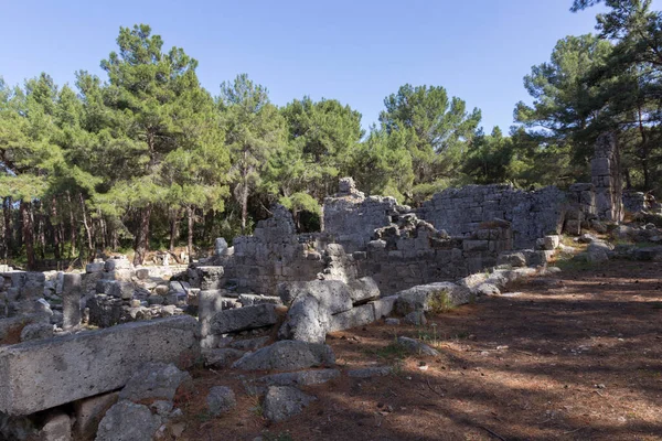 古代の港町ファセリスの遺跡 オリンパス山近くの野外博物館 アンタルヤ トルコ — ストック写真